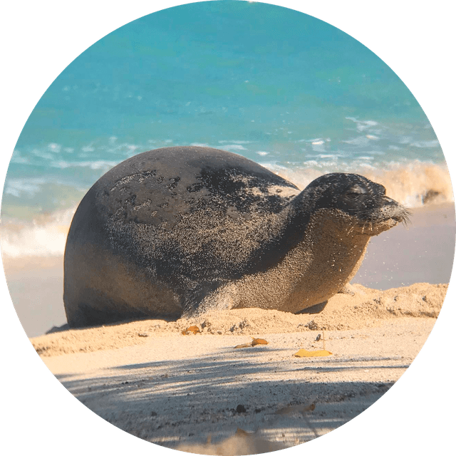 Profile photo of Katie Cartee