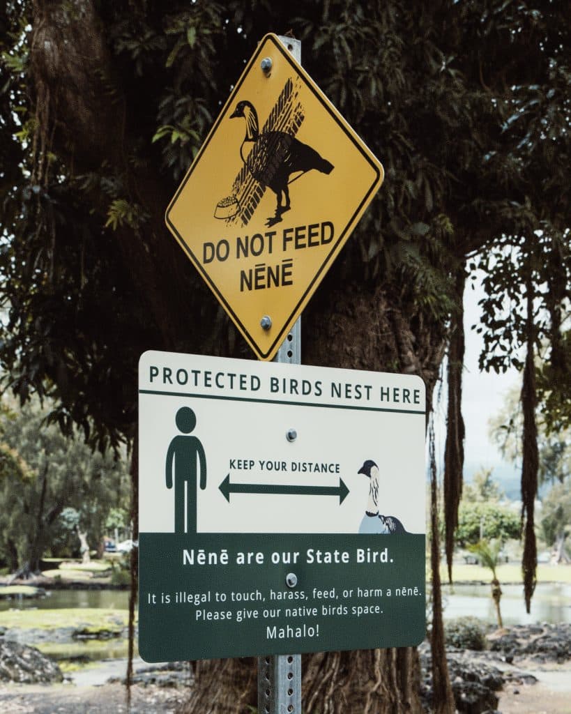 New nēnē sign at Liliuokalani